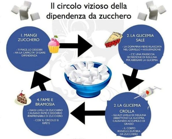 Gli zuccheri: gli effetti sull'organismo, quali esistono, come sostituirli?  - Dimagrire con gusto